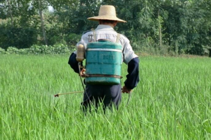 農(nóng)用無人機，飛防服務(wù)，植保無人機