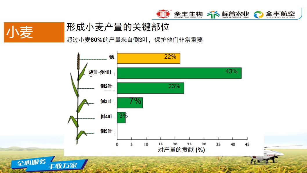 標(biāo)普增冠